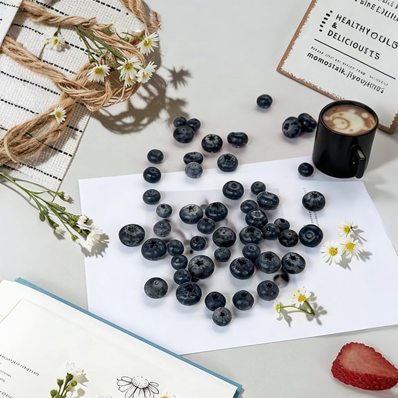 توت أزرق اصطناعي، فاكهة وهمية  - مراجعة Photography Of Food وسعره